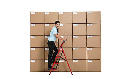 《热血系列外传 热血少女Zero》主机实体版28日开启预购